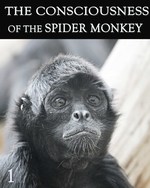 Feature thumb consciousness of the spider monkey part 1