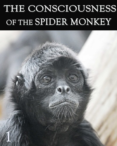 Full consciousness of the spider monkey part 1