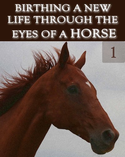Full birthing a new life through the eyes of a horse part 1