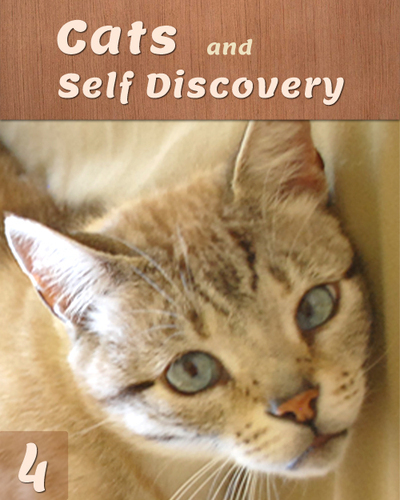 Full cats and self discovery part 4