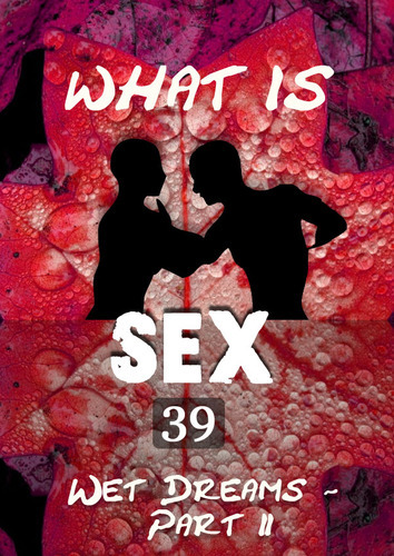 Full what is sex wet dreams part 2 part 39