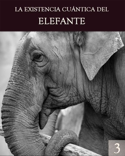 Full la existencia cuantica del elefante parte 3