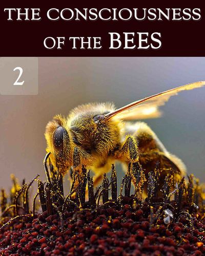 Full the consciousness of the bees part 2
