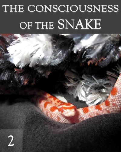 Full the consciousness of the snake part 2