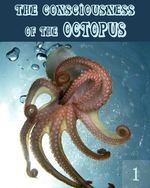 Feature thumb the consciousness of the octopus part 1