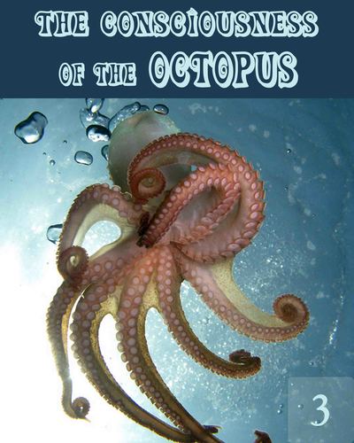 Full the consciousness of the octopus part 3