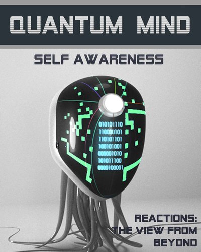 Full reactions the view from beyond quantum mind self awareness