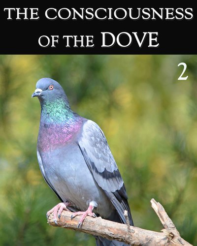 Full the consciousness of the dove part 2