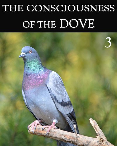 Full the consciousness of the dove part 3