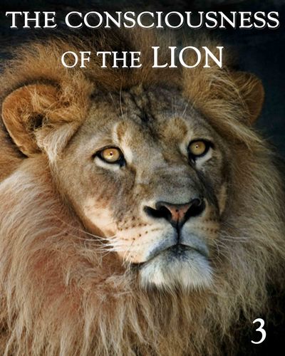 Full the consciousness of the lion part 3
