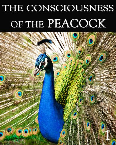 Full the consciousness of the peacock part 1