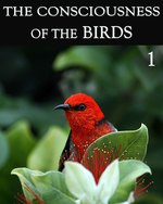 Feature thumb the consciousness of the birds part 1