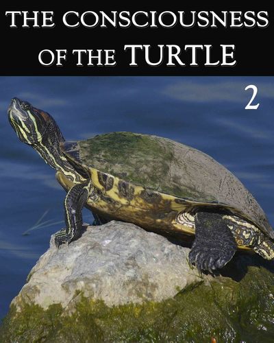Full the consciousness of the turtle part 2