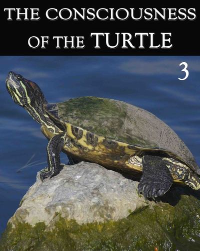 Full the consciousness of the turtle part 3