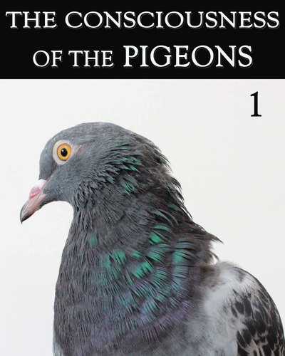 Full the consciousness of the pigeon part 1