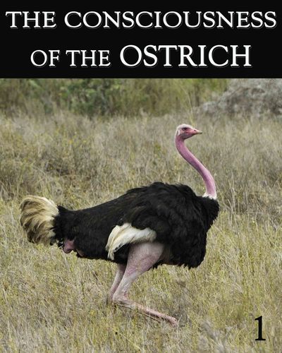 Full the consciousness of the ostrich part 1
