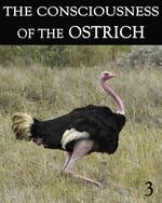 Feature thumb the consciousness of the ostrich part 3