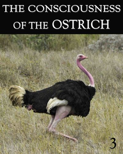 Full the consciousness of the ostrich part 3