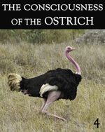 Feature thumb the consciousness of the ostrich part 4