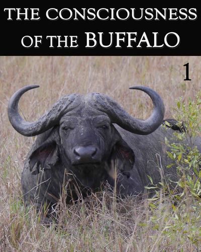 Full the consciousness of the buffalo part 1