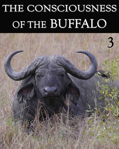 Full the consciousness of the buffalo part 3