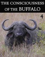 Feature thumb the consciousness of the buffalo part 4