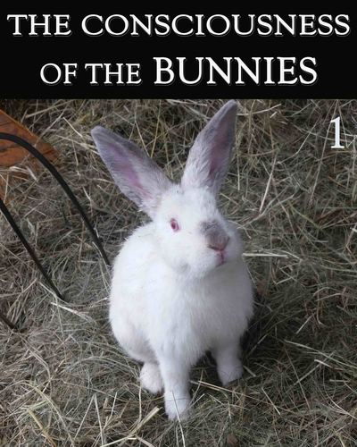 Full the consciousness of the bunnies part 1