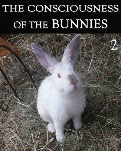 Full the consciousness of the bunnies part 2