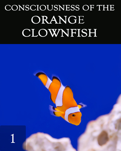 Full the consciousness of the orange clownfish
