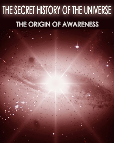 Full the secret history of the universe the origin of awareness part 3