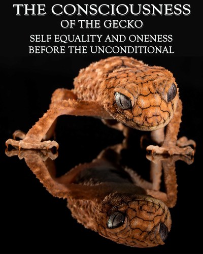 Full self equality and oneness before the unconditional the consciousness of the gecko