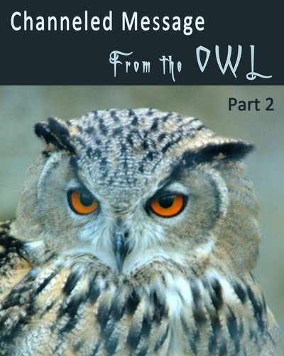 Full channeled message from the owl part 2