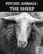 Feature thumb psychic animals the sheep part 2
