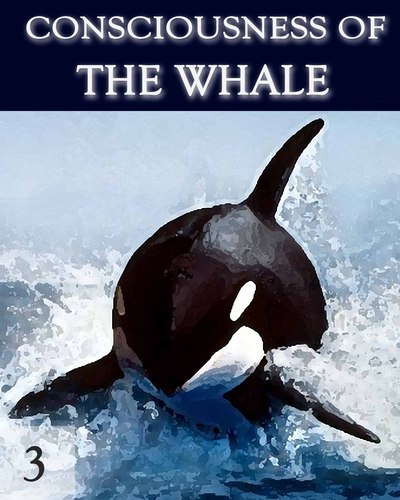 Full consciousness of the whale part 3