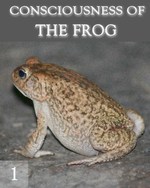 Feature thumb the consciousness of the frog part 1