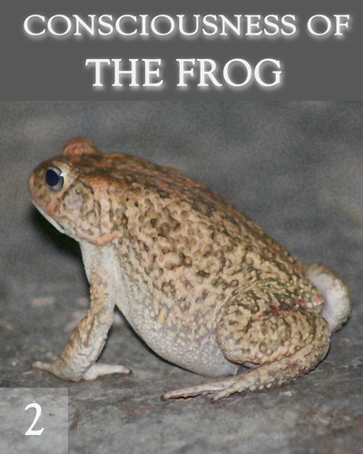 Full the consciousness of the frog part 2