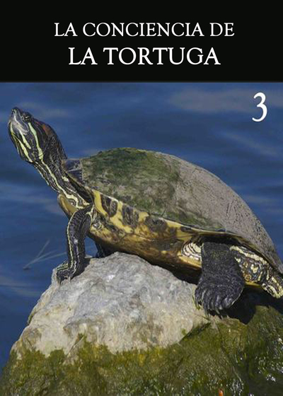 Full la conciencia de la tortuga parte 3