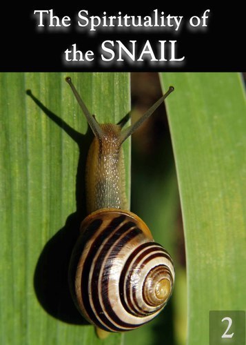 Full the spirituality of the snail part 2