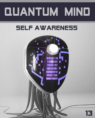 Full quantum mind self awareness step 13