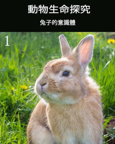 Full the consciousness of the rabbit part 1 ch