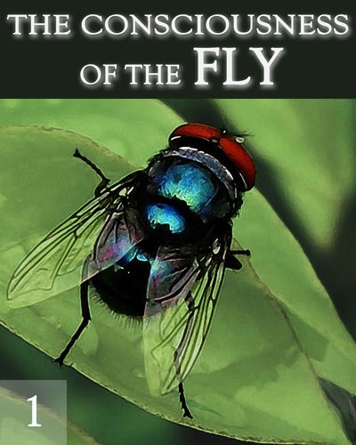 Full the consciousness of the fly part 1
