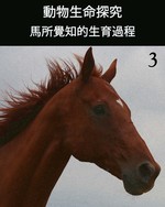 Feature thumb birthing a new life through the eyes of a horse part 3 ch