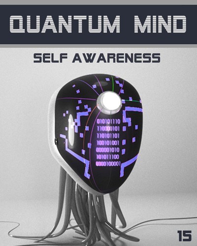 Full quantum mind self awareness step 15