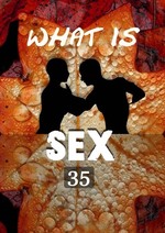 Feature thumb what is sex love as sex part 1 part 35