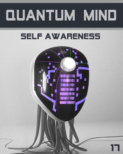 Full quantum mind self awareness step 17