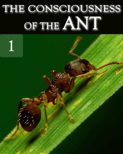 Full the consciousness of the ant part 1