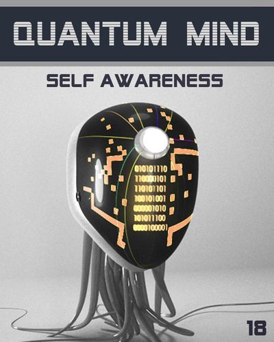 Full quantum mind self awareness step 18