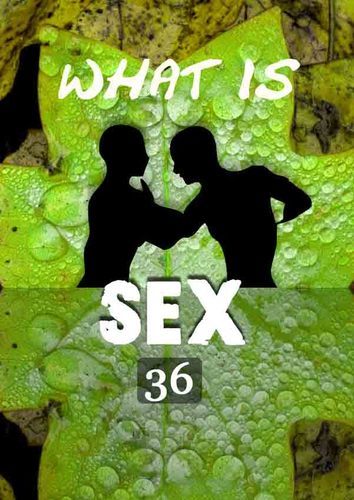 Full what is sex love as sex part 2 part 36