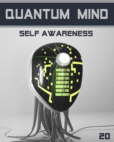Full quantum mind self awareness step 20