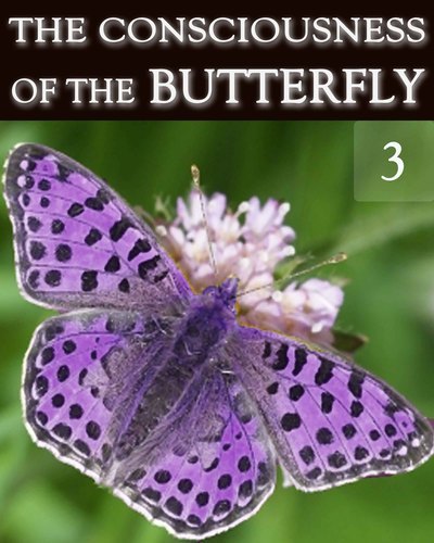 Full the consciousness of the butterfly part 3